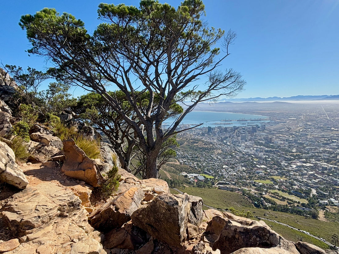 Beautiful Cape Town 🇿🇦