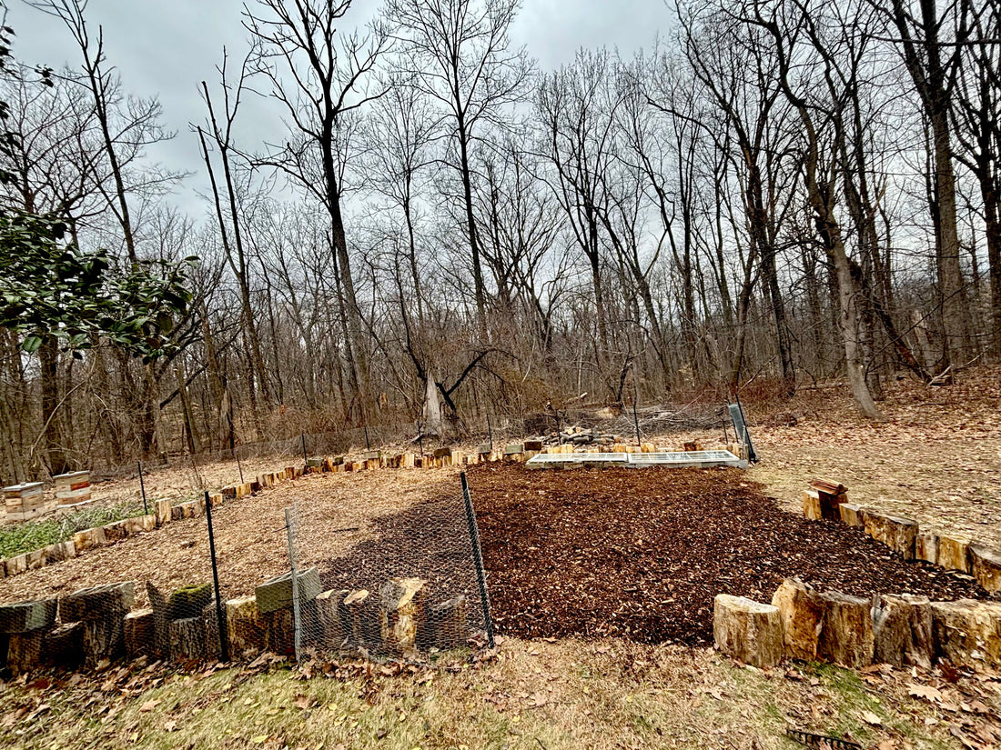 Progress Photos