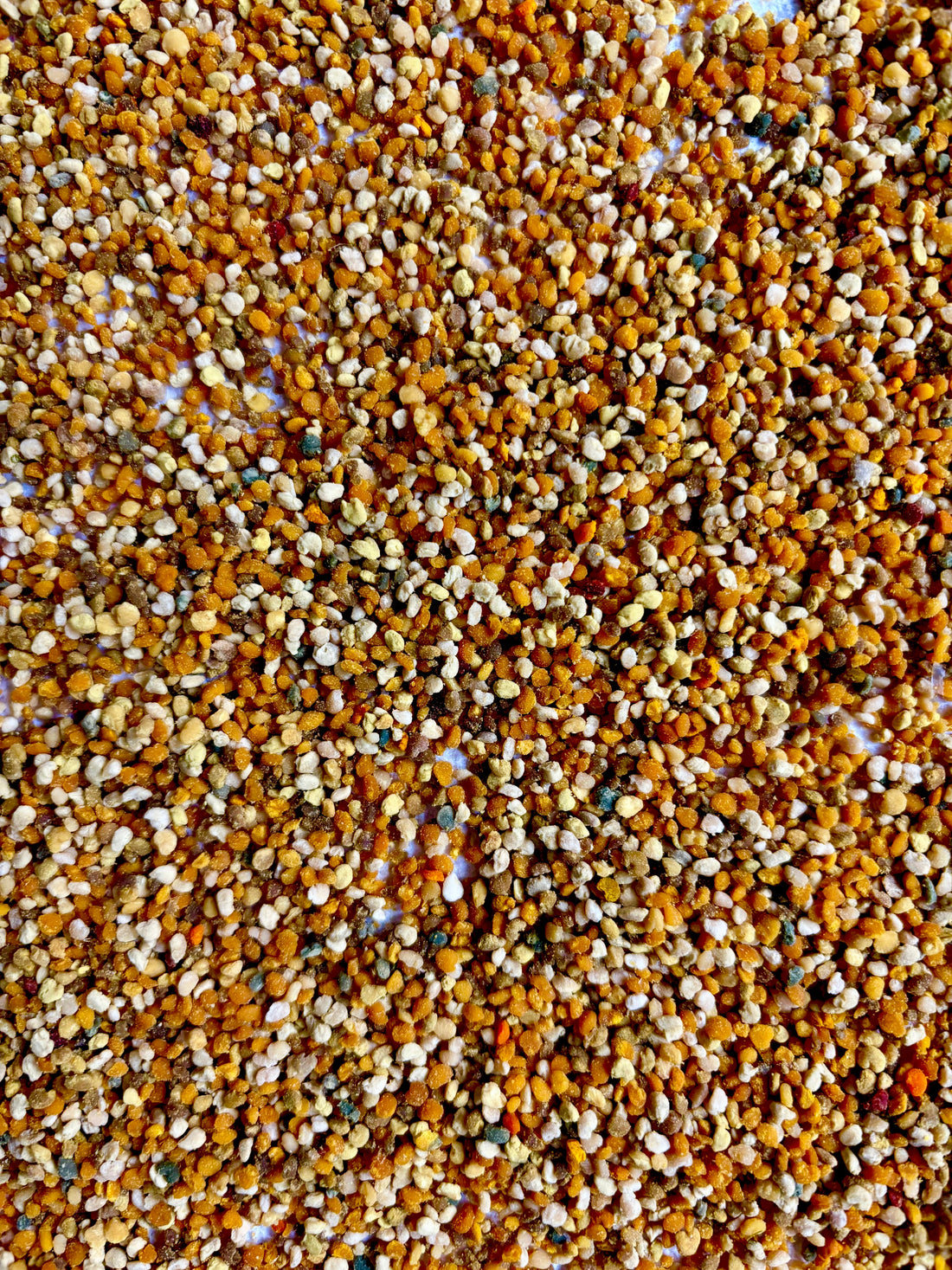 Let's Talk About Bee Pollen...